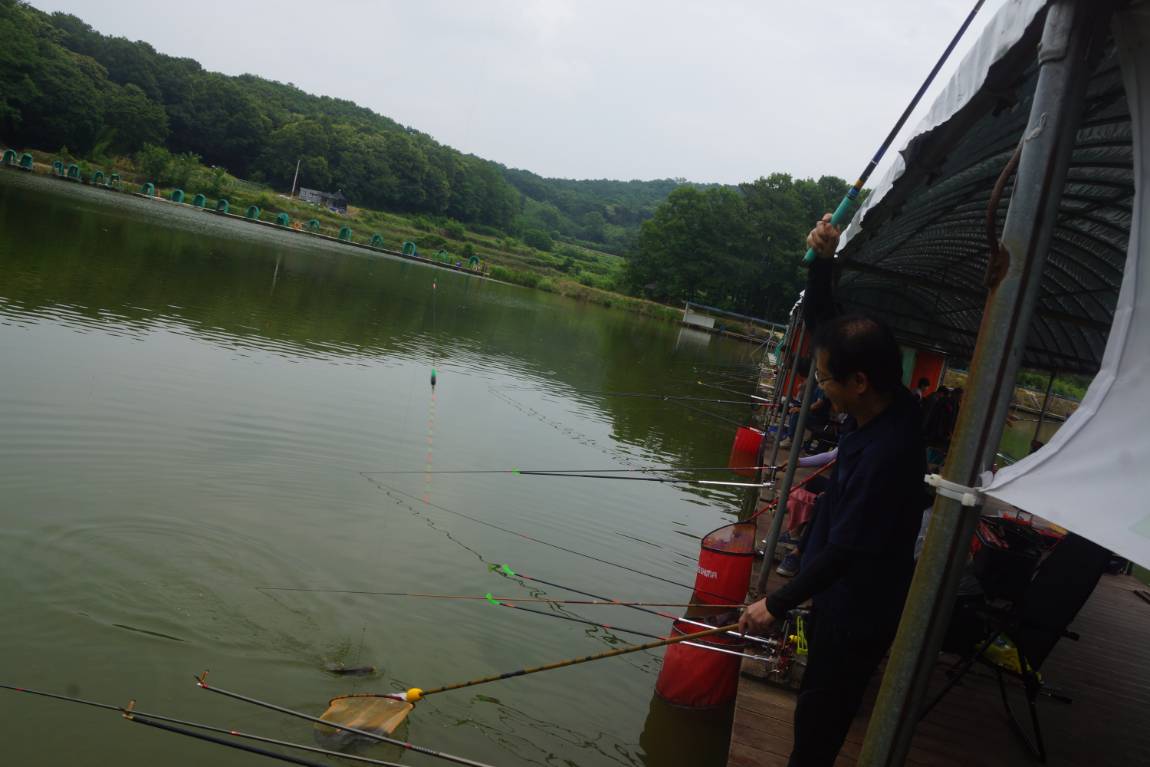 DSC06115.JPG