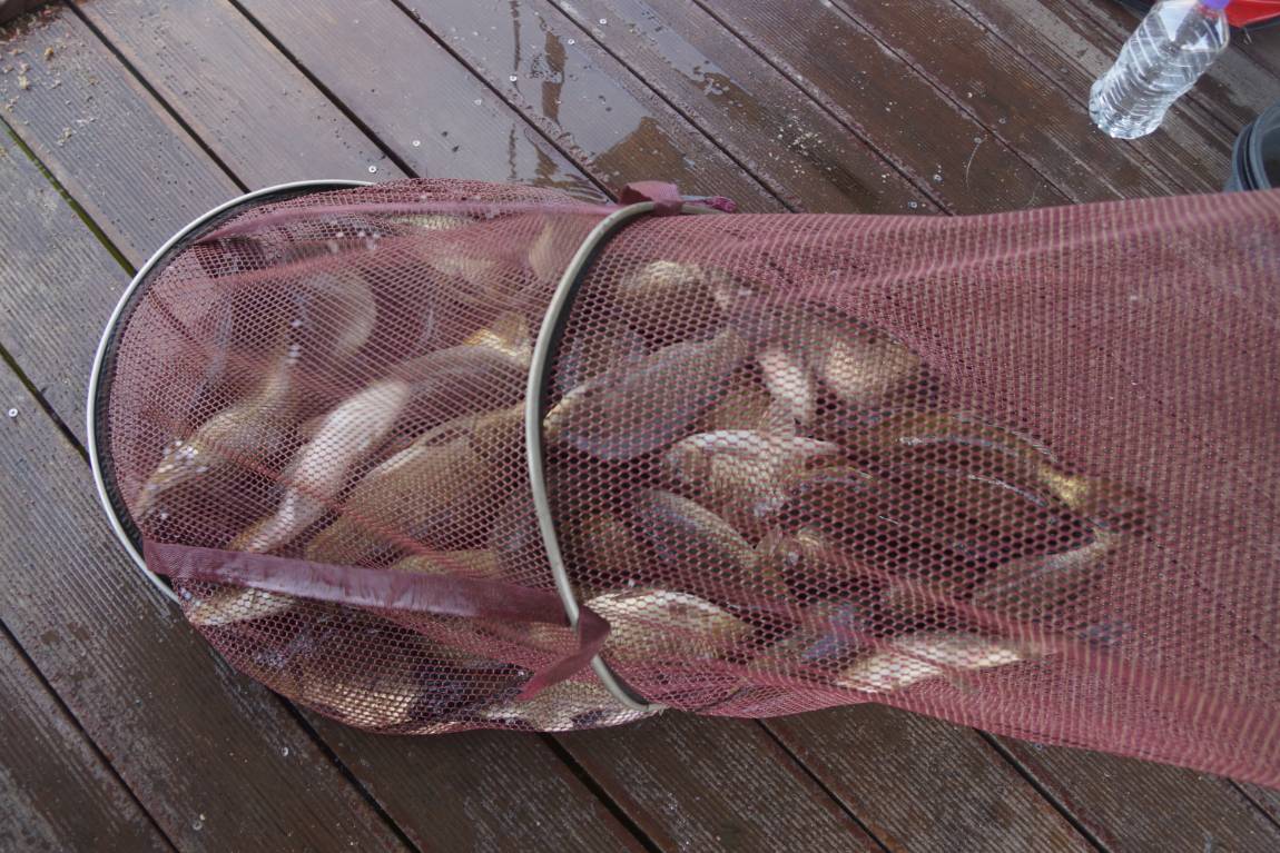 DSC06152.JPG
