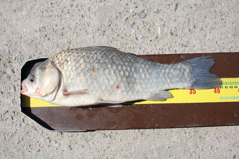 [ũ⺯ȯ]IMG_3979.JPG