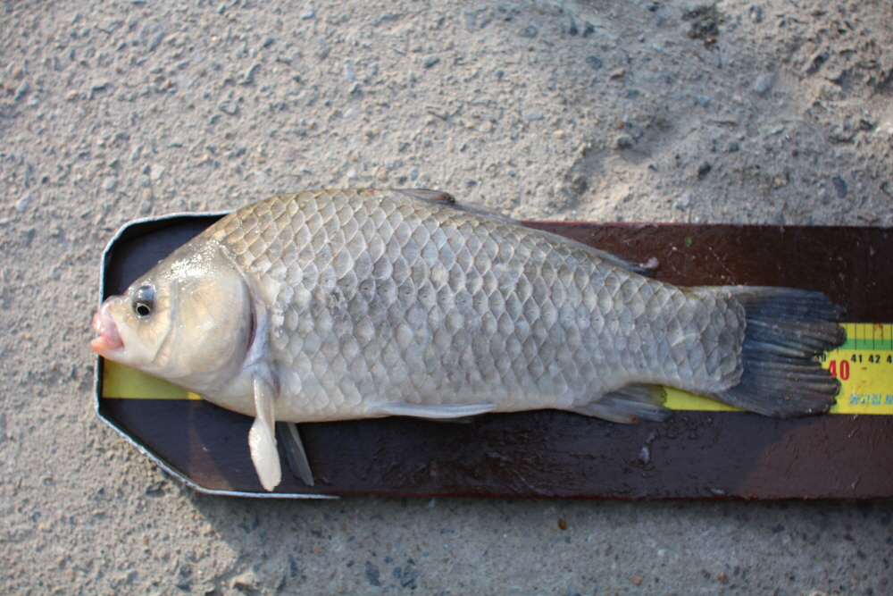 [ũ⺯ȯ]IMG_4051.JPG