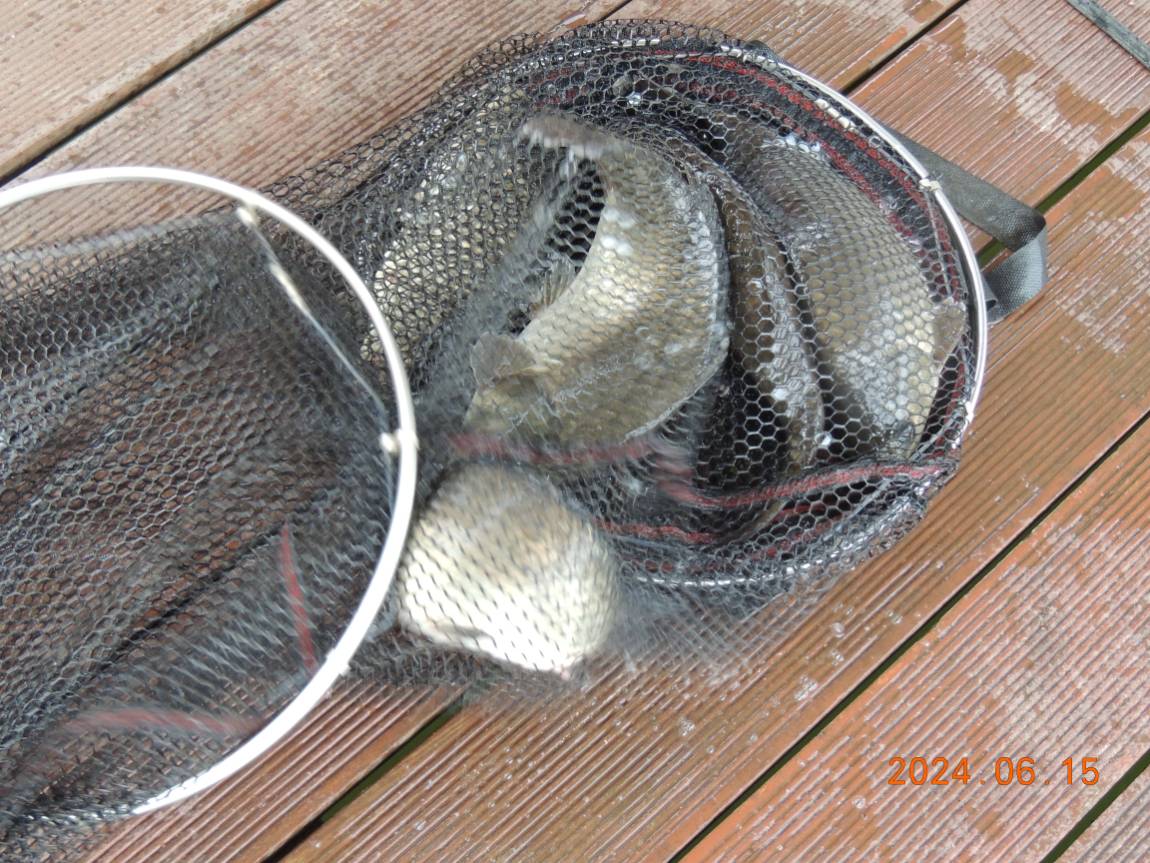 DSCN4167.JPG