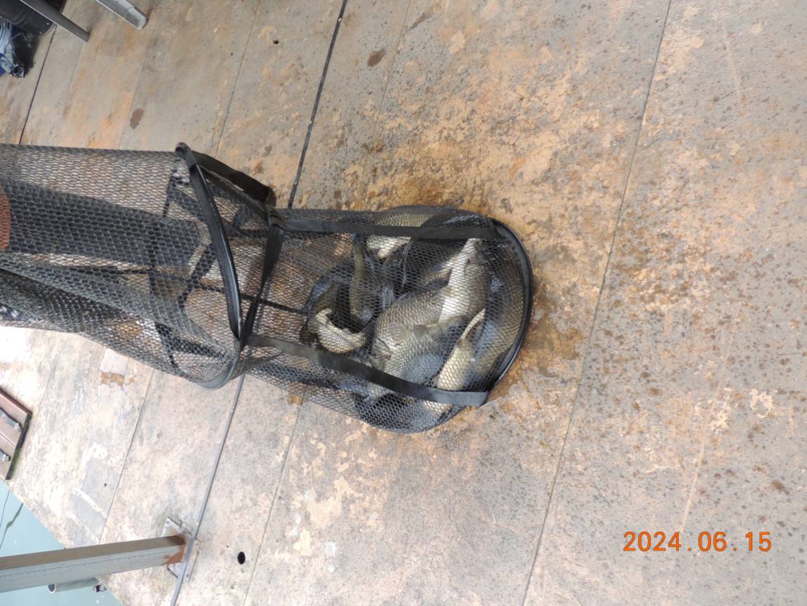 DSCN4171.JPG