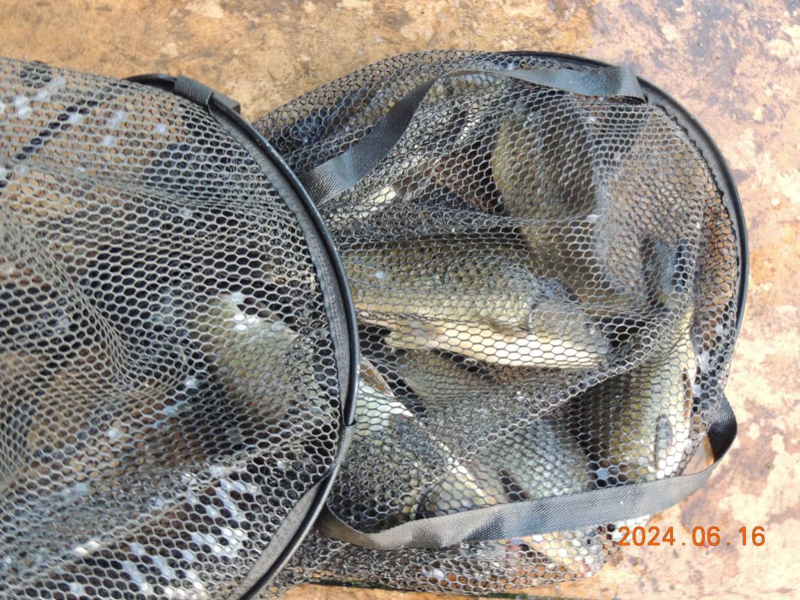 DSCN4208.JPG