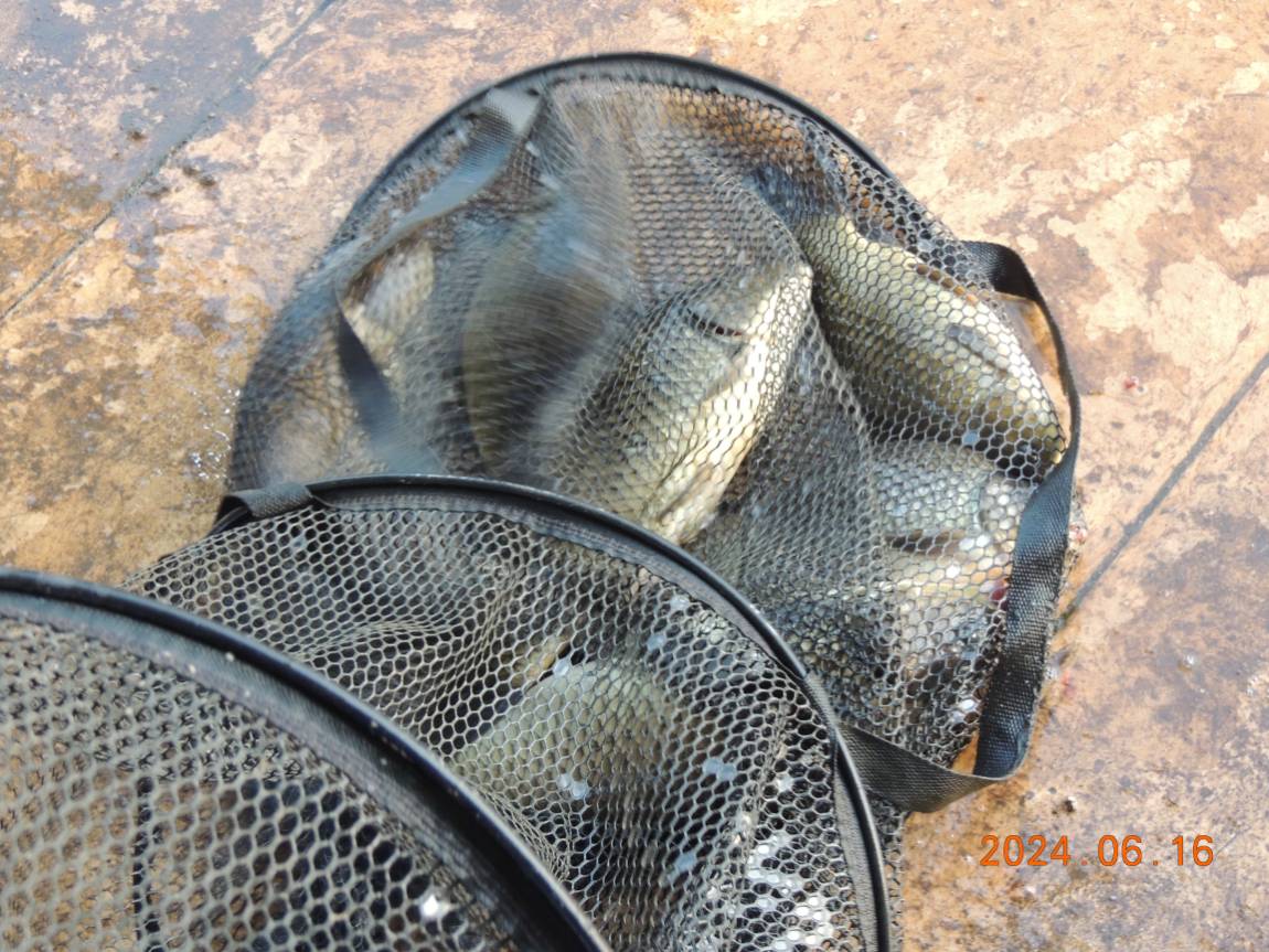 DSCN4209.JPG