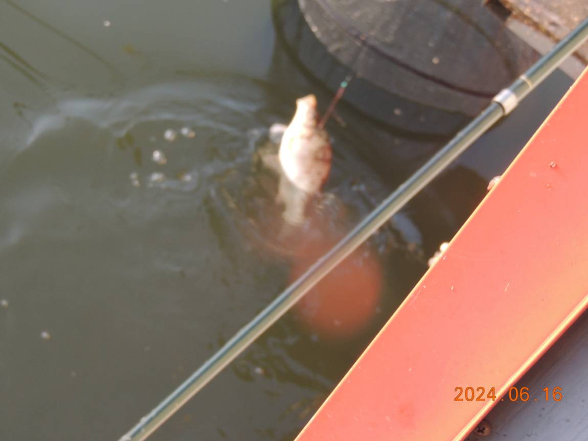 DSCN4219.JPG