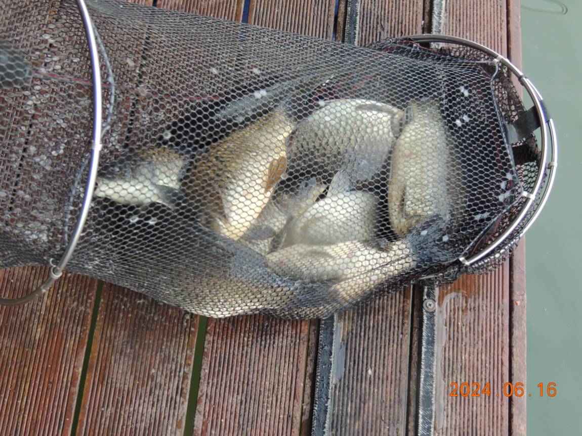 DSCN4226.JPG