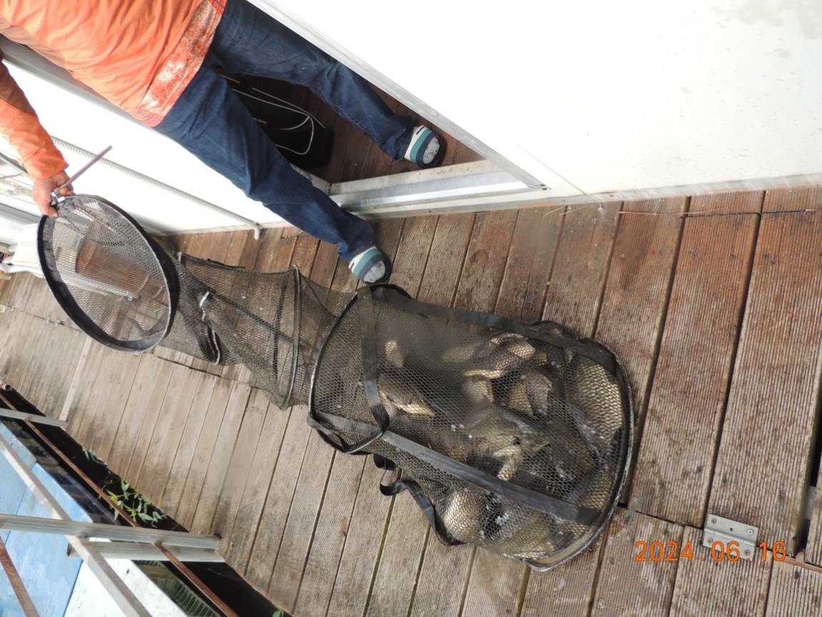 DSCN4228.JPG