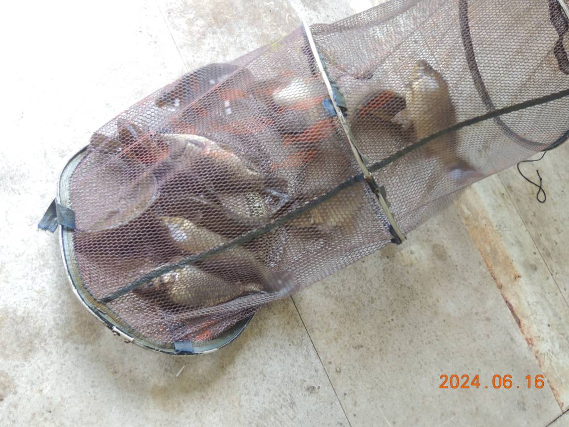 DSCN4258.JPG