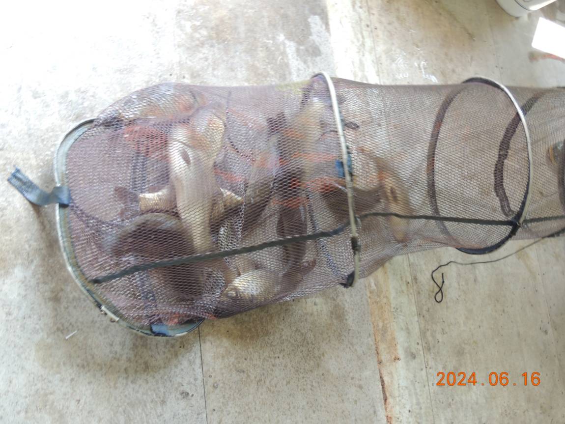 DSCN4260.JPG