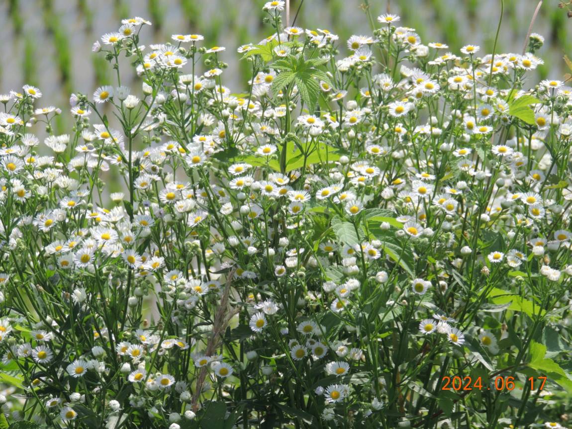 DSCN4269.JPG