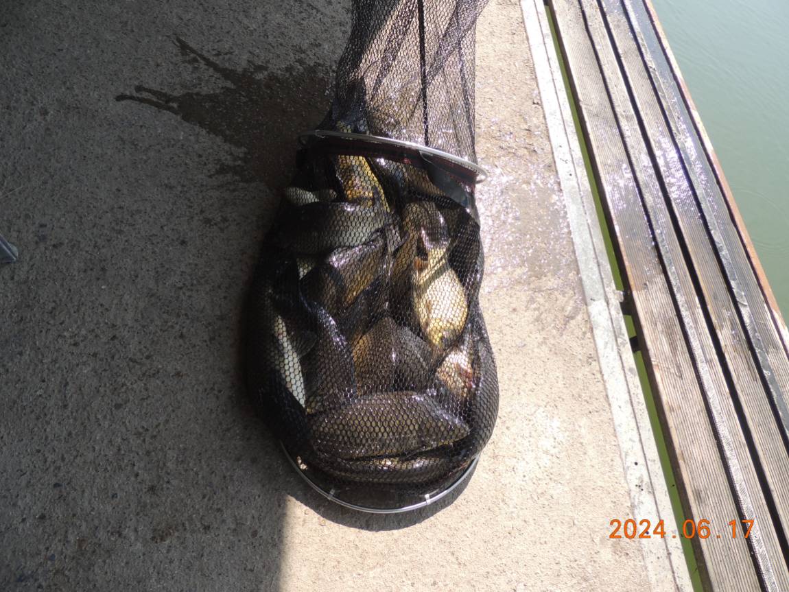 DSCN4273.JPG