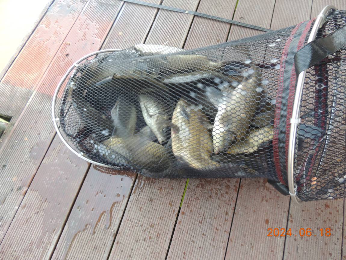 DSCN4280.JPG