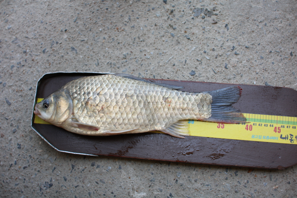 [ũ⺯ȯ]IMG_4072.JPG