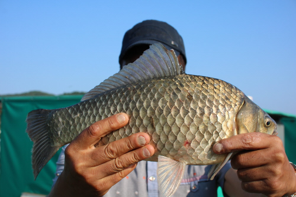 [ũ⺯ȯ]IMG_4192.JPG