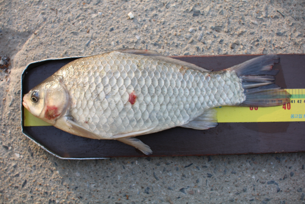 [ũ⺯ȯ]IMG_4161.JPG