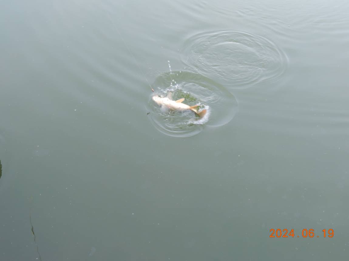 DSCN4320.JPG