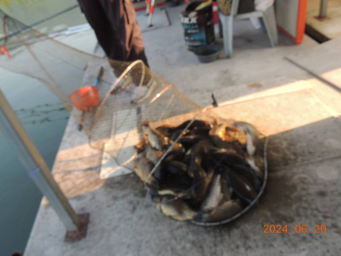 DSCN4340.JPG