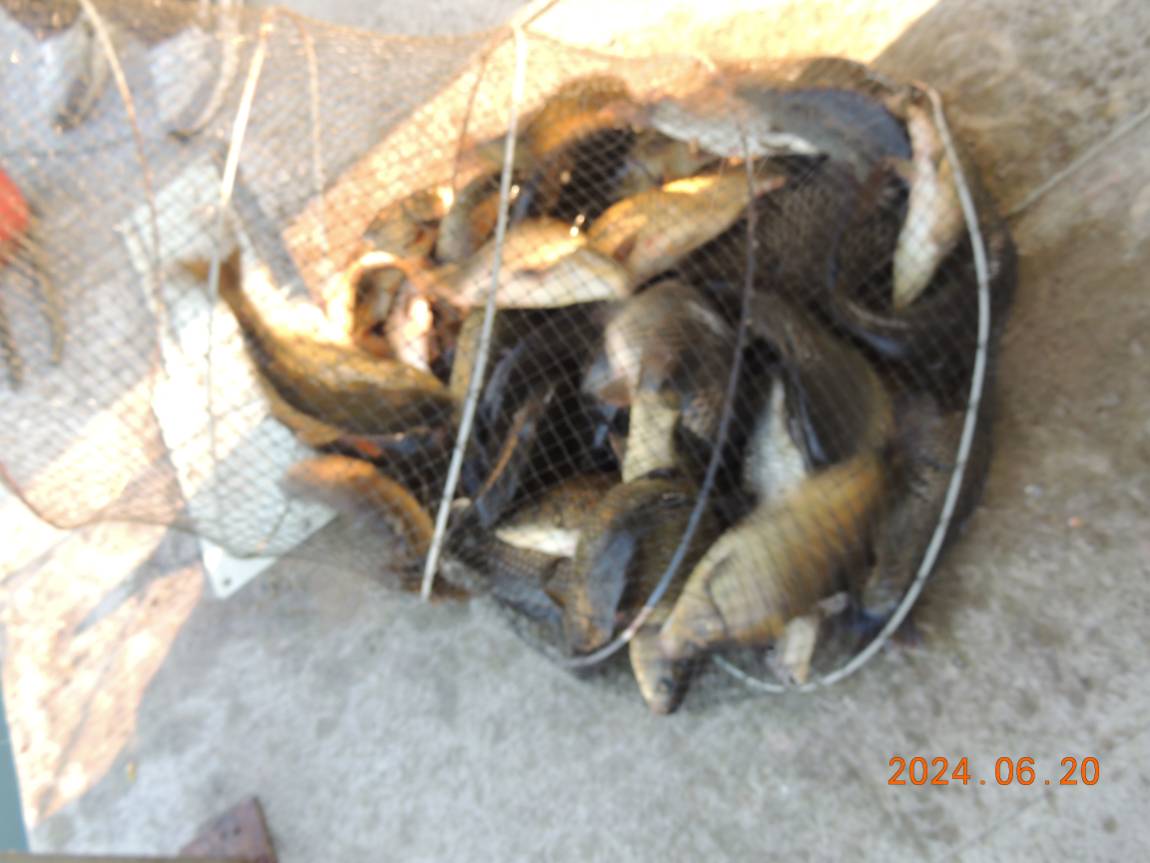 DSCN4341.JPG