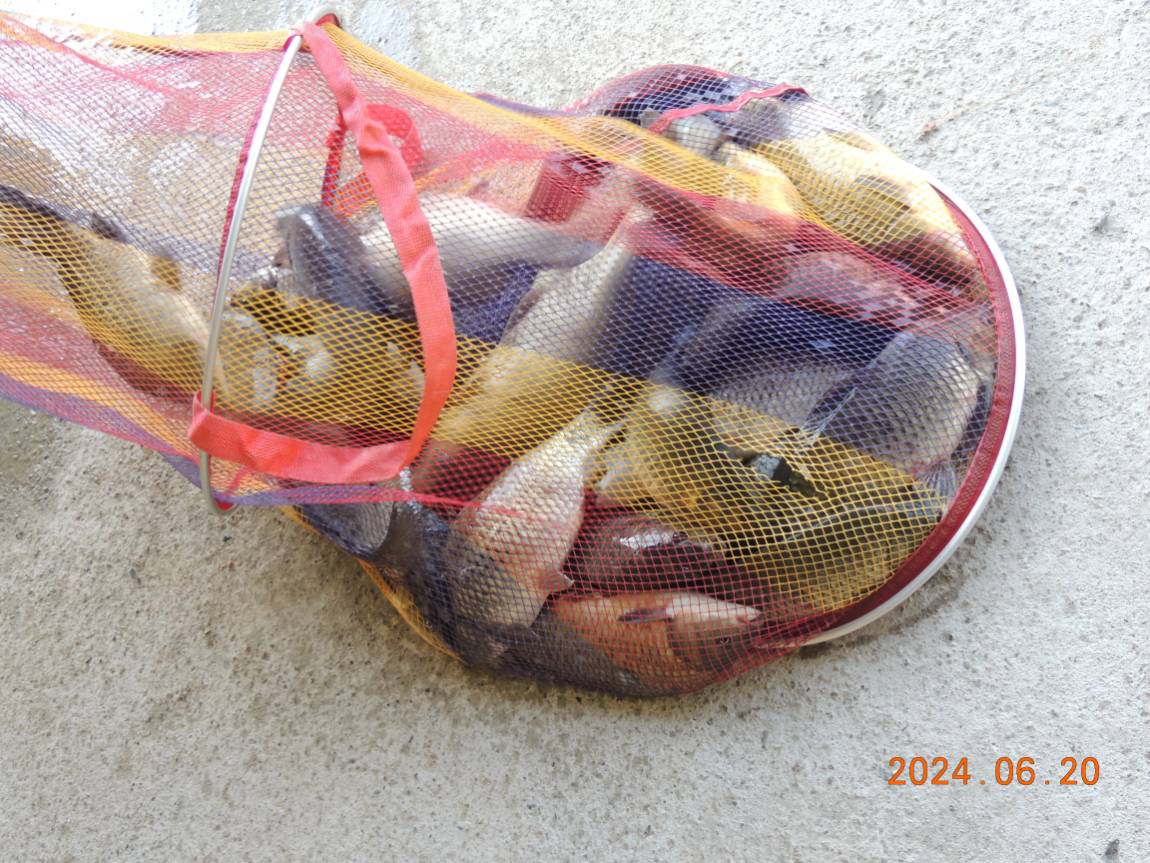 DSCN4347.JPG