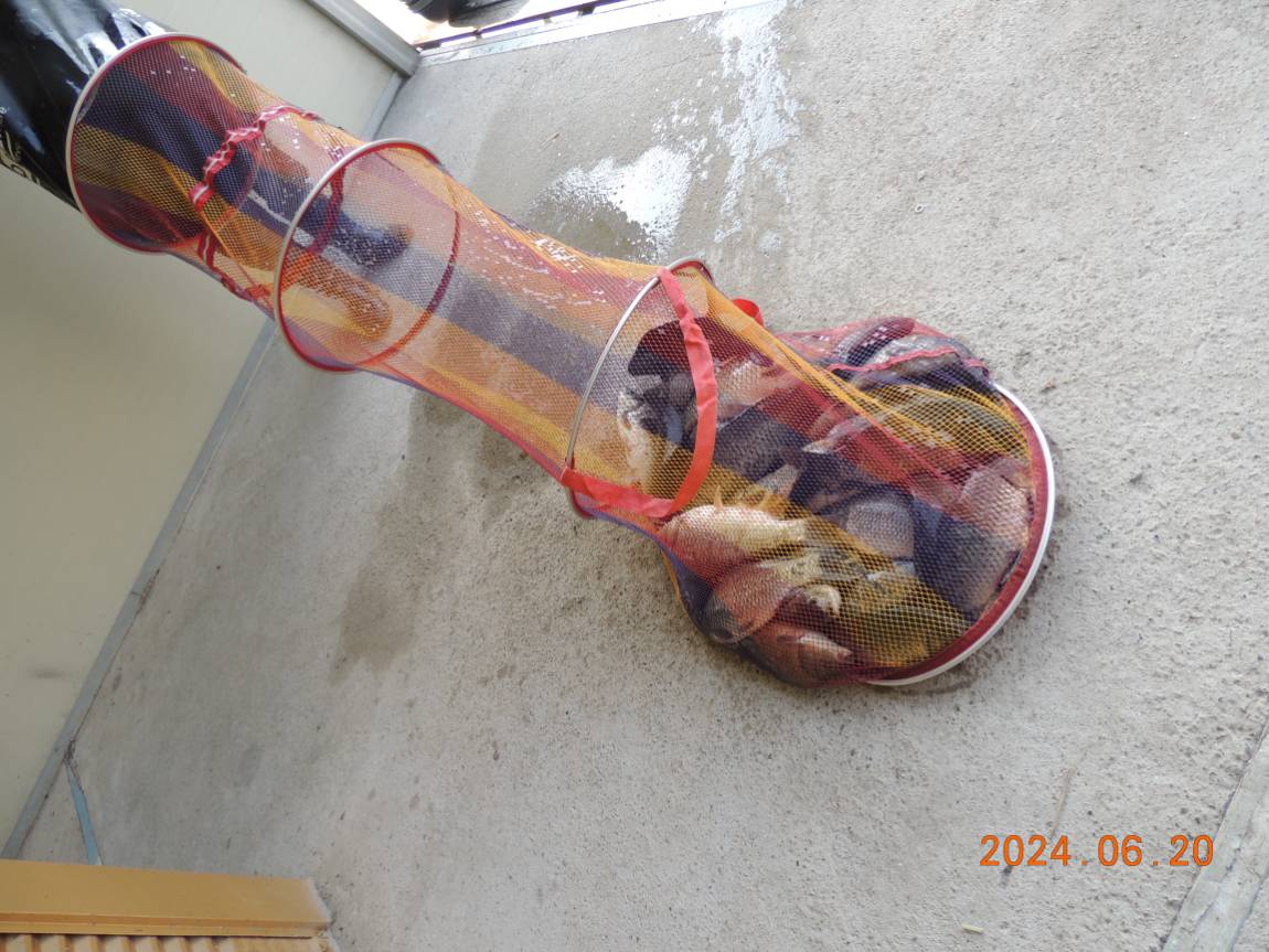 DSCN4349.JPG