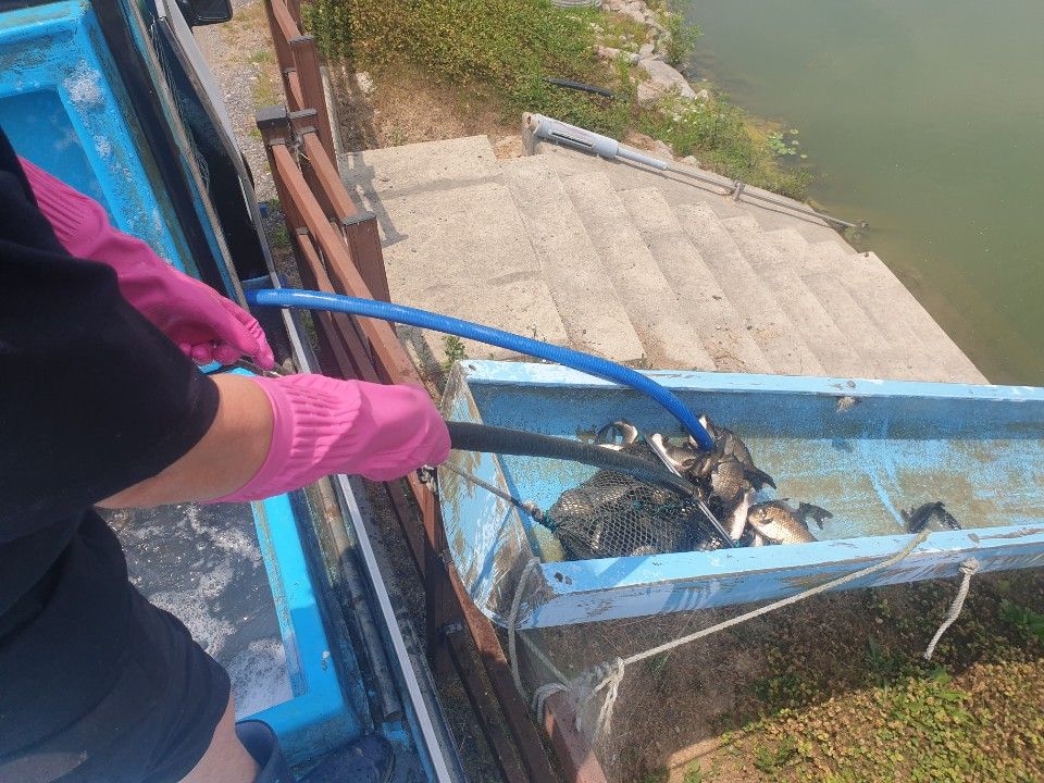 1719006271541.jpg