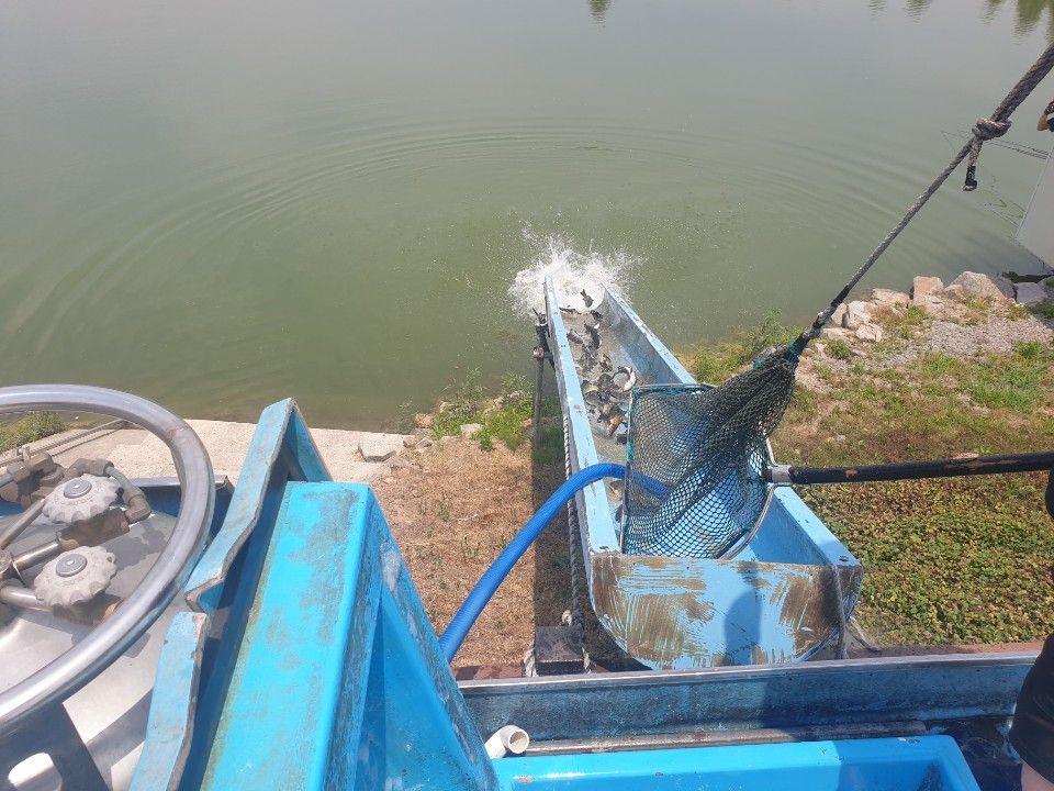 1719006271727.jpg