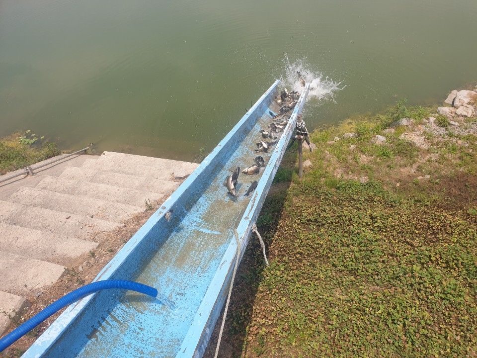 1719006271587.jpg