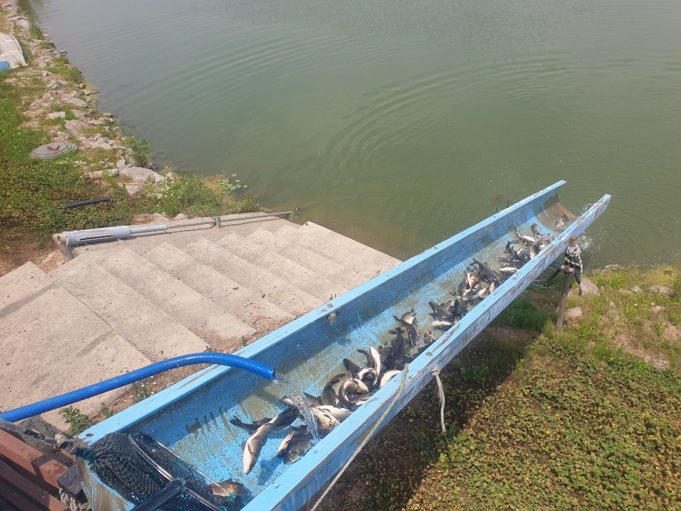 1719006272114.jpg