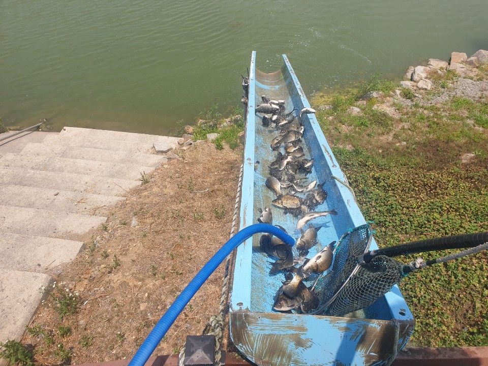 1719006272327.jpg