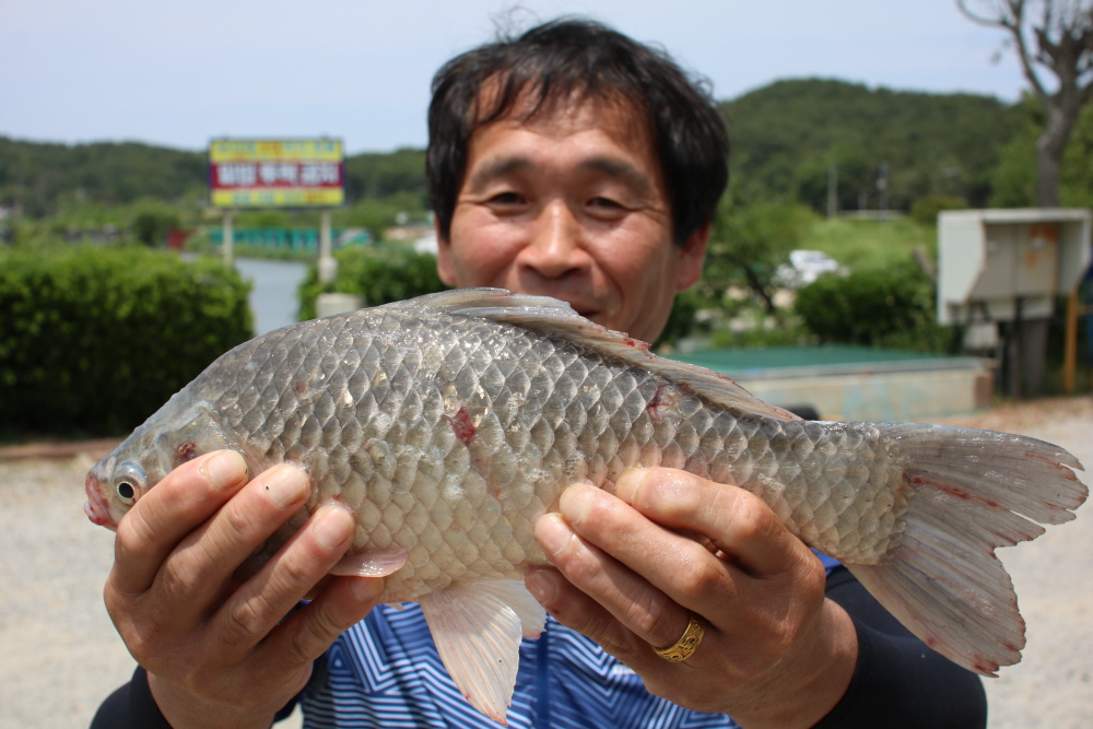 [크기변환]IMG_4246.JPG