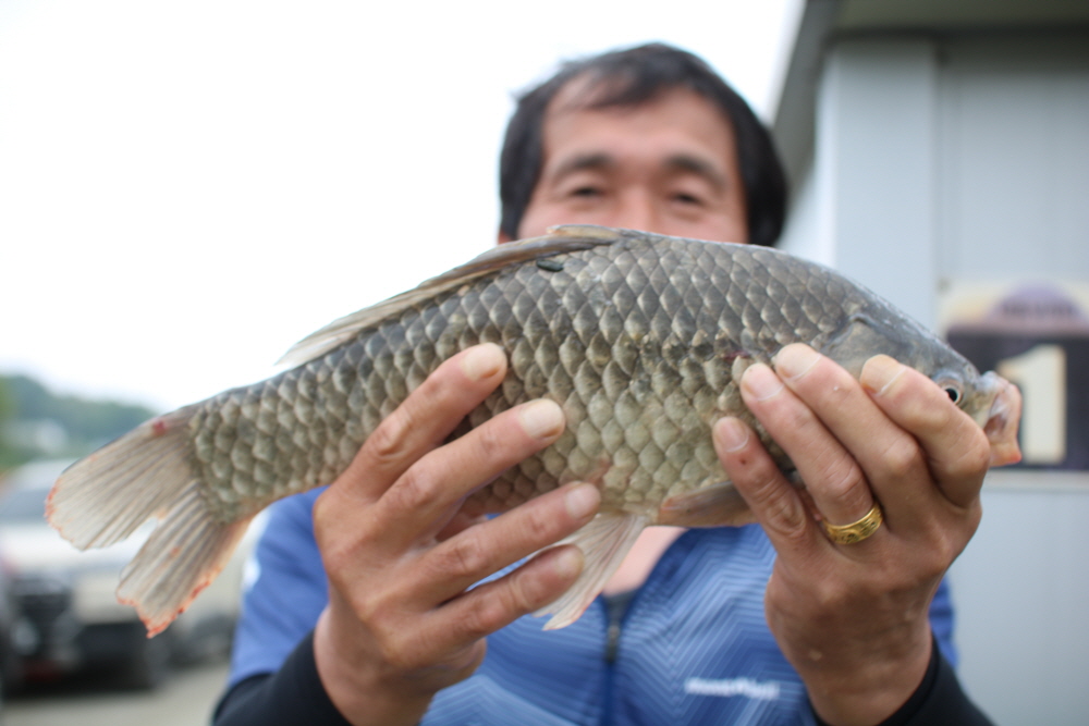 [크기변환]IMG_4263.JPG