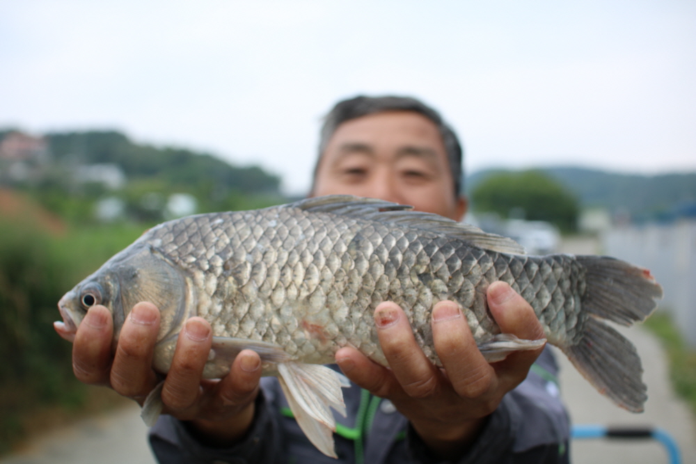 [크기변환]IMG_4276.JPG