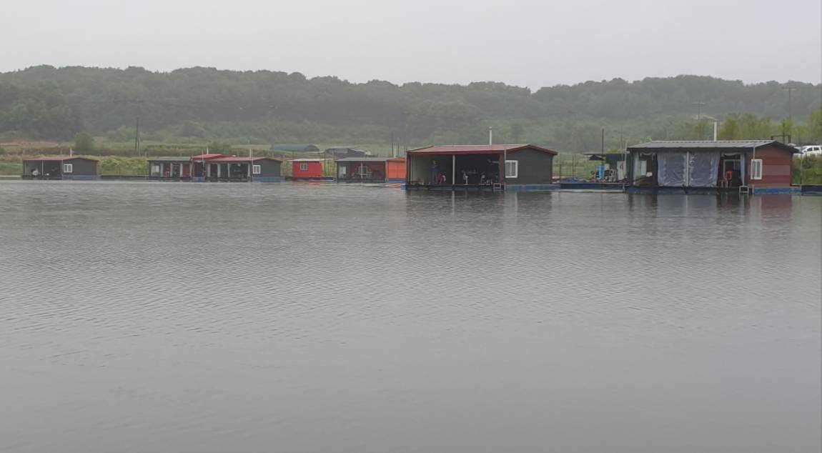 20240622_200849.jpg