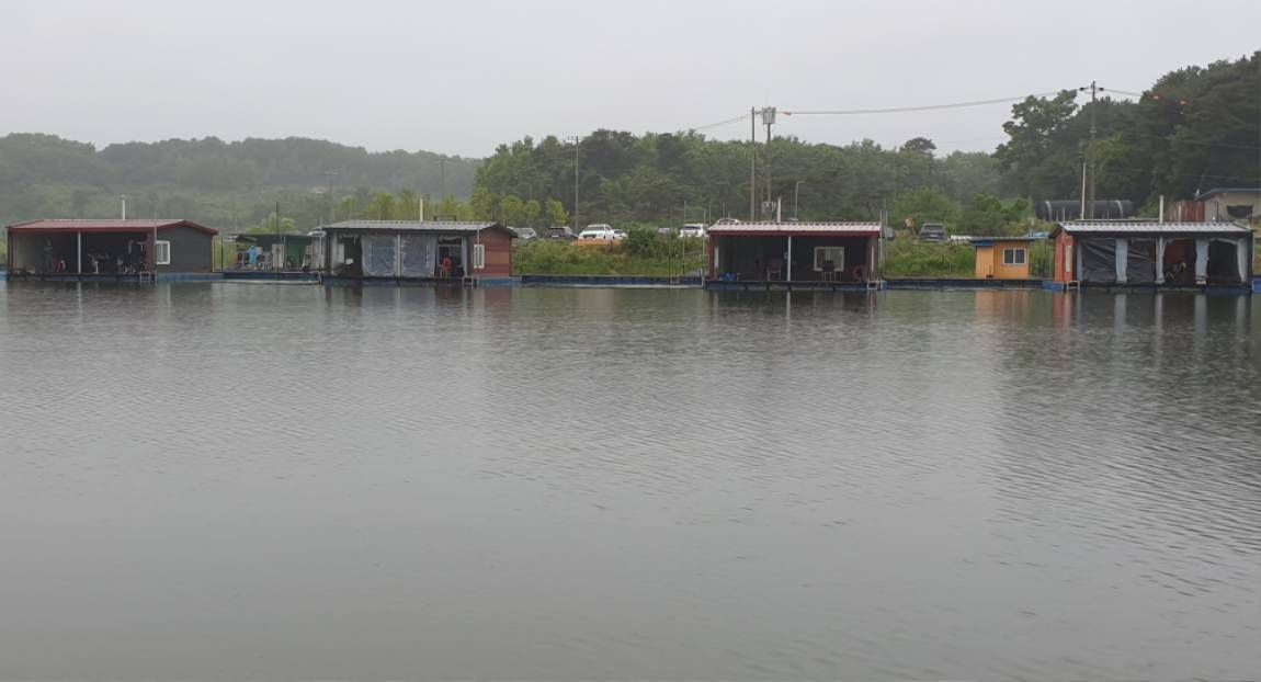 20240622_200830.jpg
