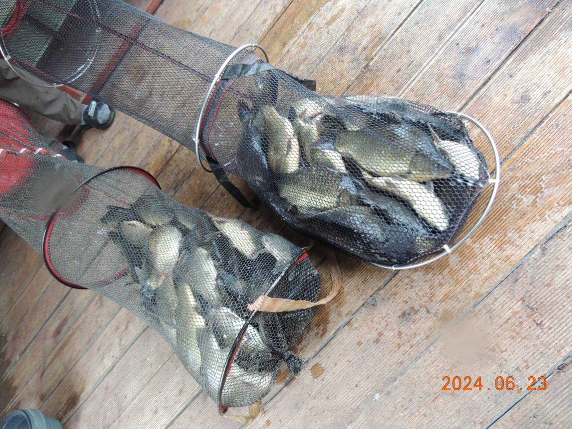 DSCN4424.JPG