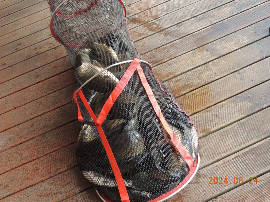 DSCN4454.JPG