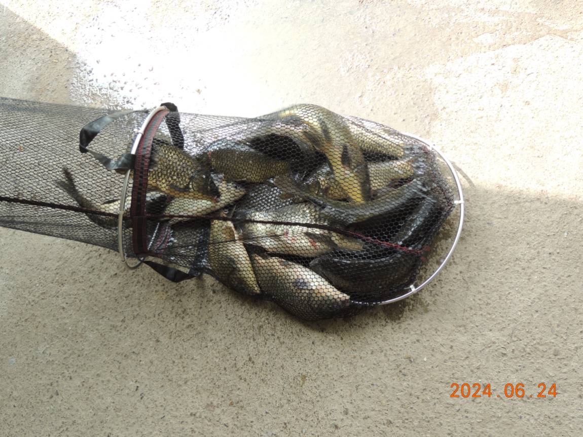 DSCN4495.JPG