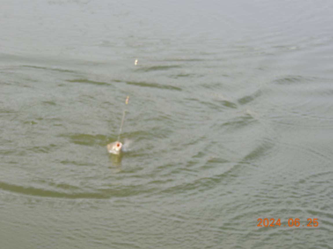 DSCN4517.JPG