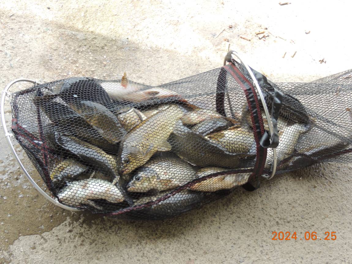DSCN4520.JPG