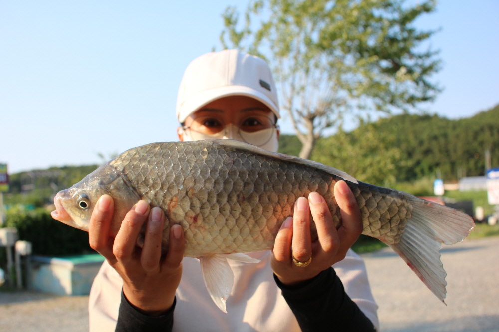 [ũ⺯ȯ]IMG_4501.JPG