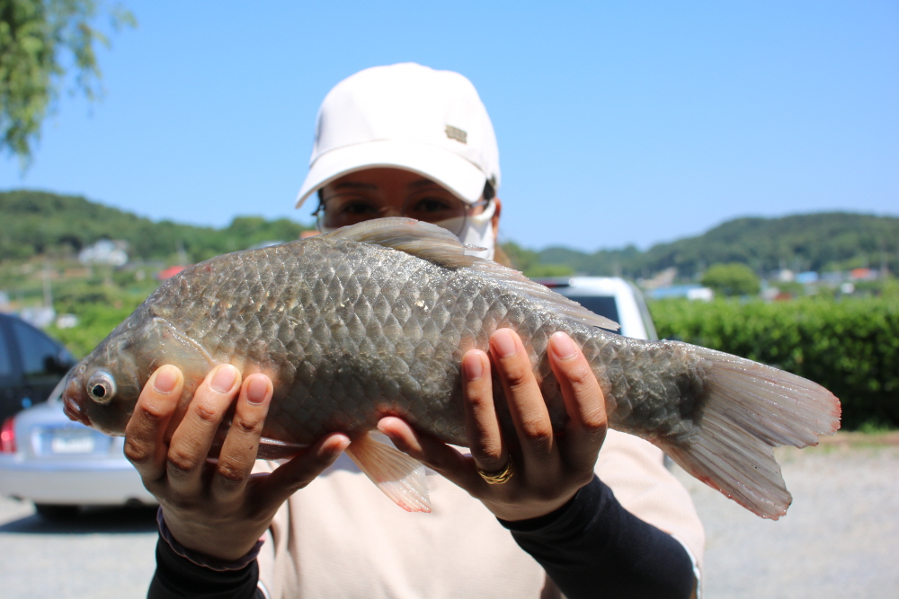 [ũ⺯ȯ]IMG_4473.JPG