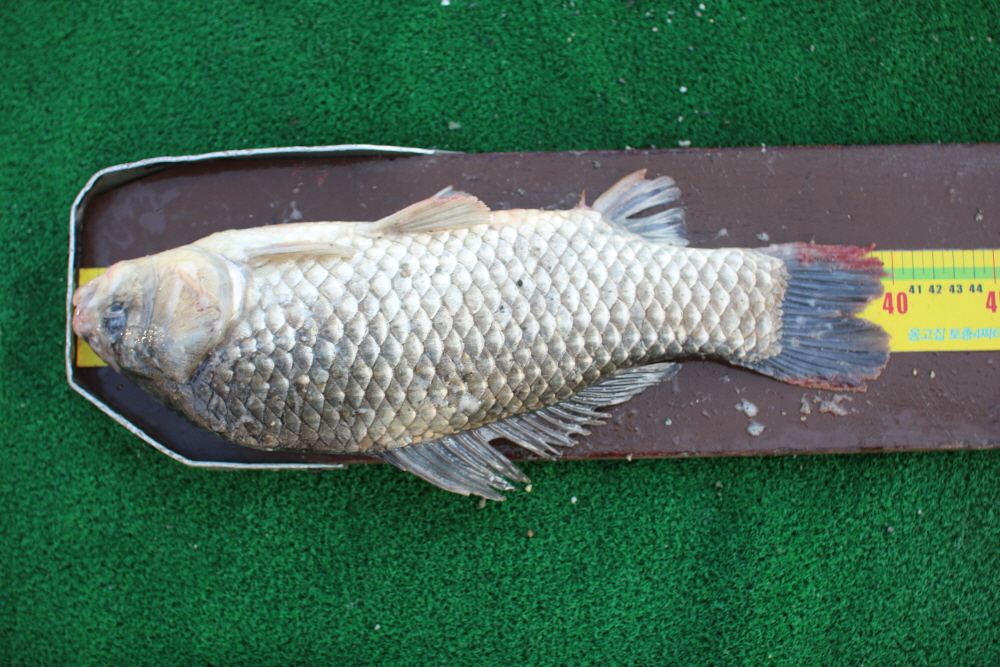 [ũ⺯ȯ]IMG_4528.JPG