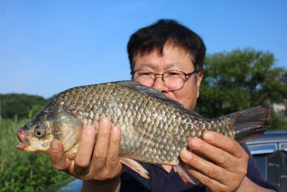 [ũ⺯ȯ]IMG_4535.JPG