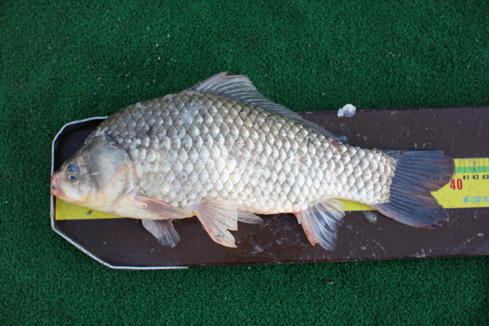 [ũ⺯ȯ]IMG_4533.JPG