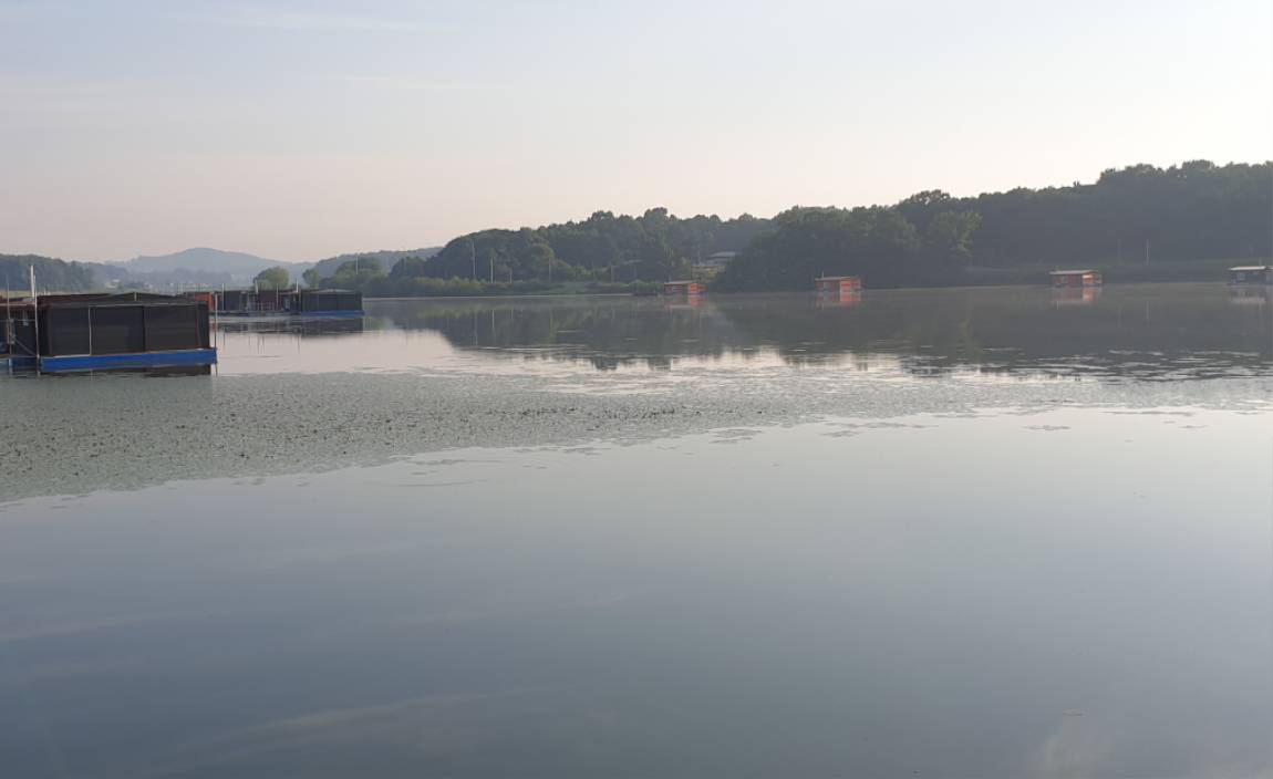 20240628_070153.jpg
