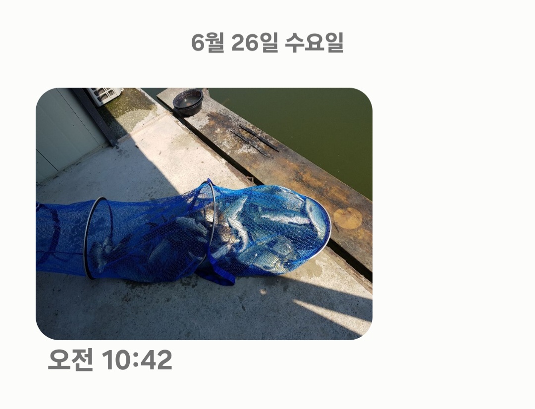Screenshot_20240626_110317_Messages.jpg