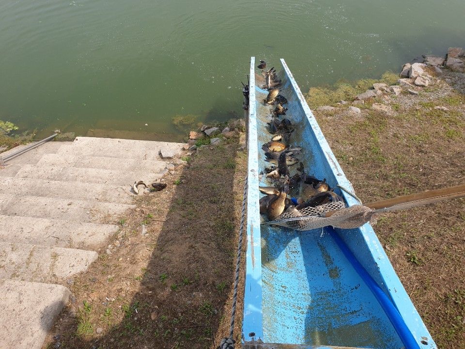 1719700174488.jpg