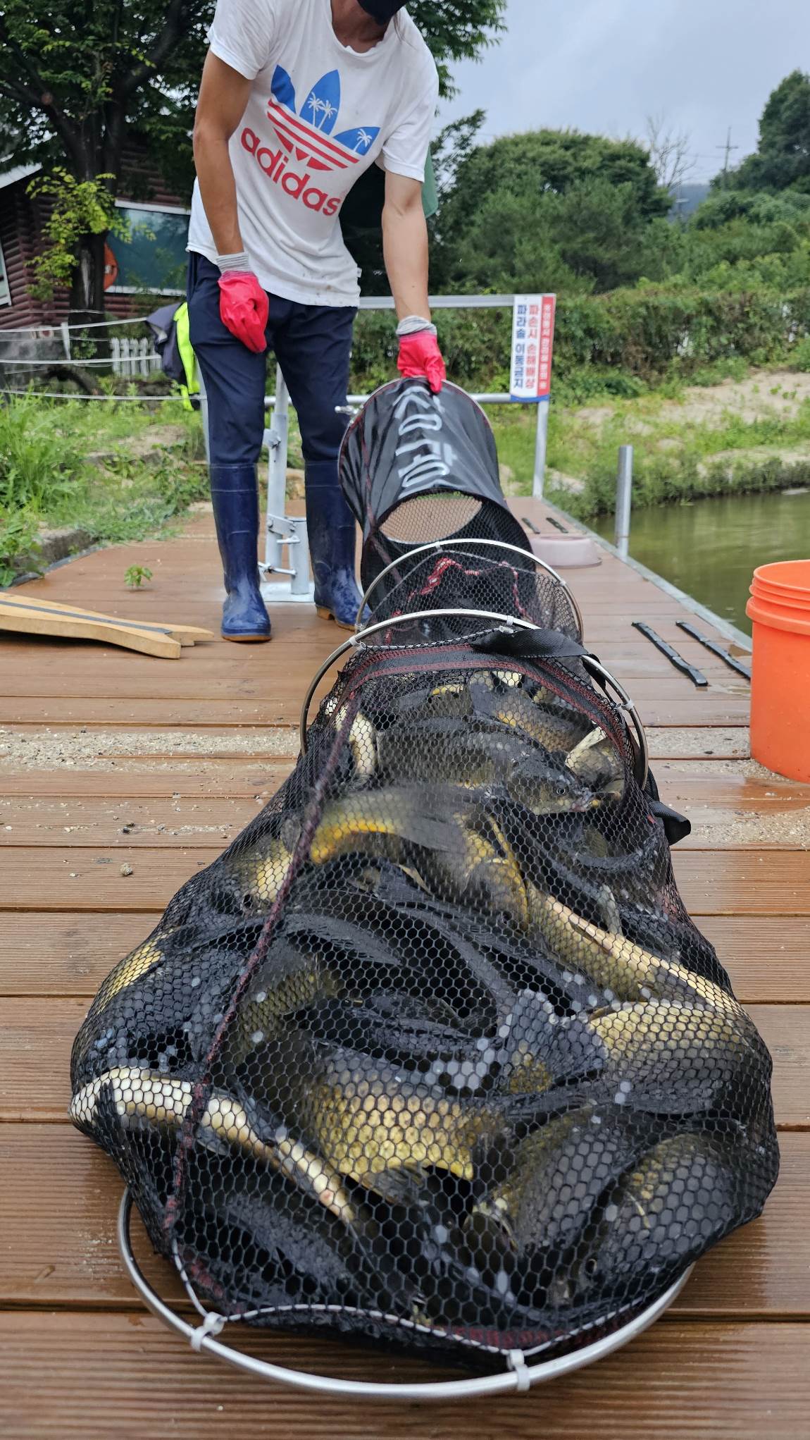 20240630_054731.jpg