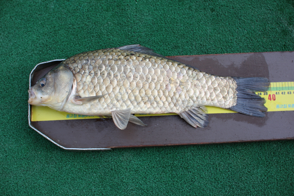 [ũ⺯ȯ]IMG_4603.JPG