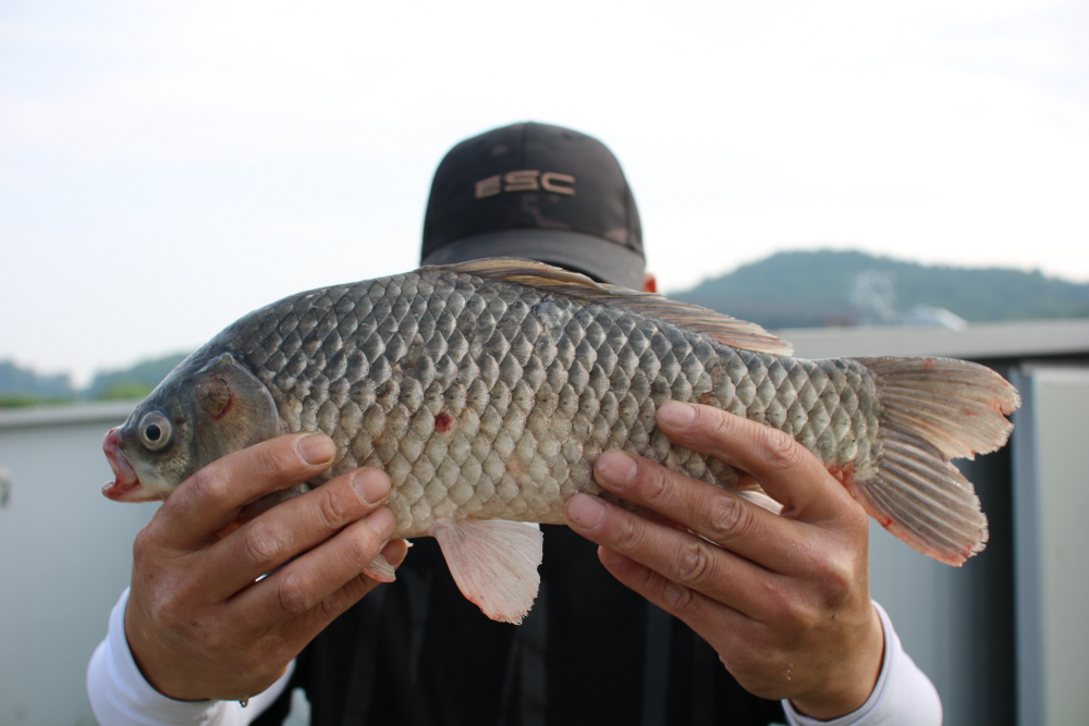 [ũ⺯ȯ]IMG_4619.JPG
